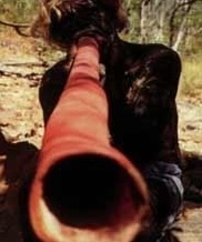 Didgeridoo kopen